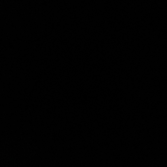 Meet your Posher, Tommy - Picture 2 of 2